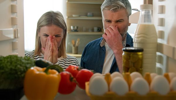 Schimmel auf Brot oder Obst: Unsere WhatsApp-Community setzt auf Sicherheit