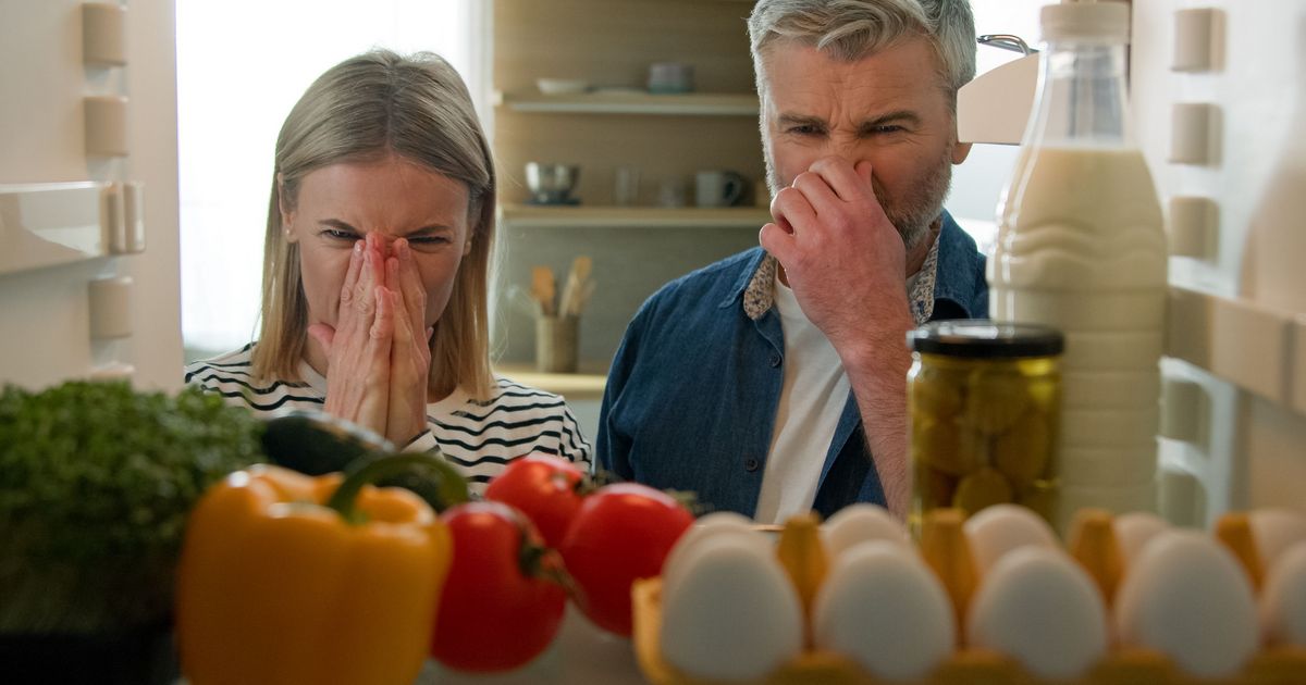 Schimmel auf Brot oder Obst: Unsere WhatsApp-Community setzt auf ...