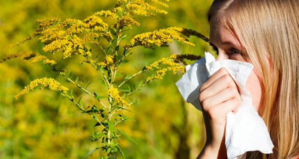 Frauen leider häufiger unter Allergien als Männer.