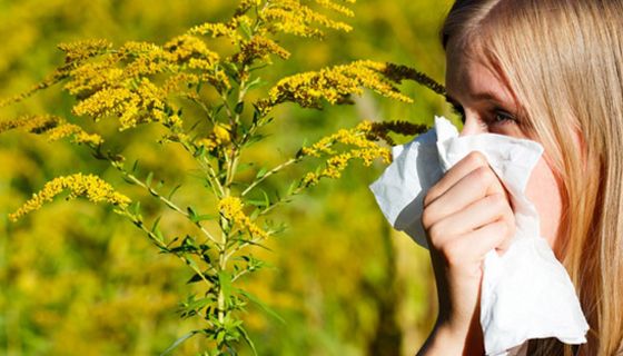 Frauen leider häufiger unter Allergien als Männer.