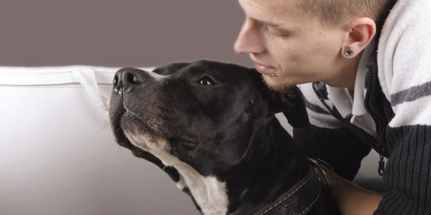 Hundebesitzer mit seinem Pitbull