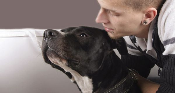 Hundebesitzer mit seinem Pitbull