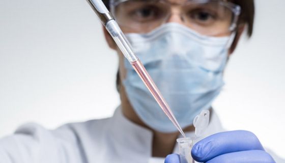Probiotika können Krebs bekämpfen.
