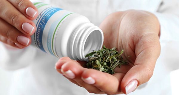 Bei medizinischem Cannabis gelten dieselben strengen Anforderungen an die Sicherheit wie bei allen anderen Medikamenten.