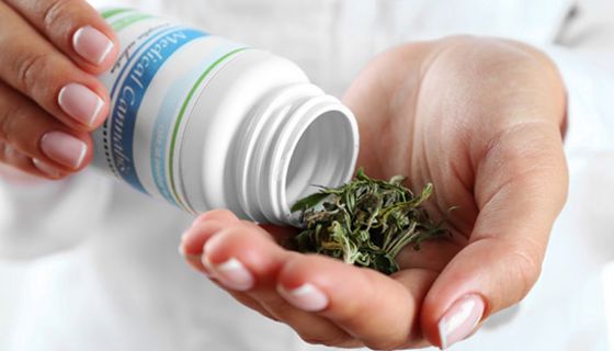 Bei medizinischem Cannabis gelten dieselben strengen Anforderungen an die Sicherheit wie bei allen anderen Medikamenten.