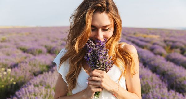 Junge Frau, riecht an Lavendel.