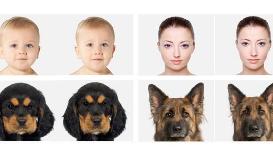 Portraitfotos eines Babys, einer jungen Frau, eines Welpen und eines ausgewachsenen Hundes