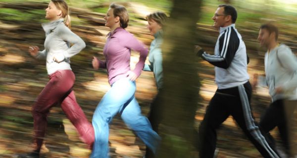 Gruppe von Joggern läuft durch den Wald.