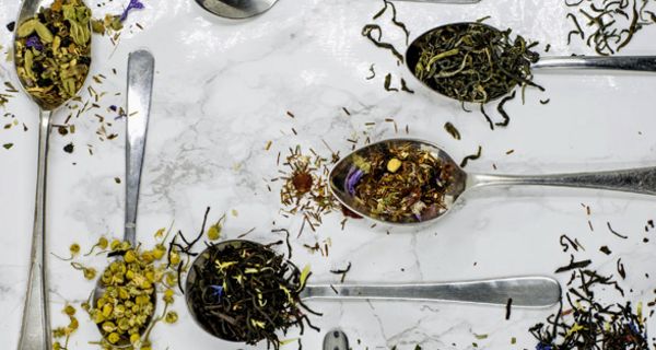 In grünem Tee steckt ein Stoff, der gegen resistente Bakterien zum Einsatz kommen könnte.