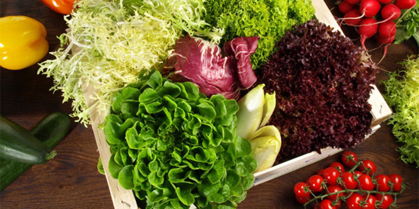 Salat aus der Tüte kann der Gesundheit schaden.