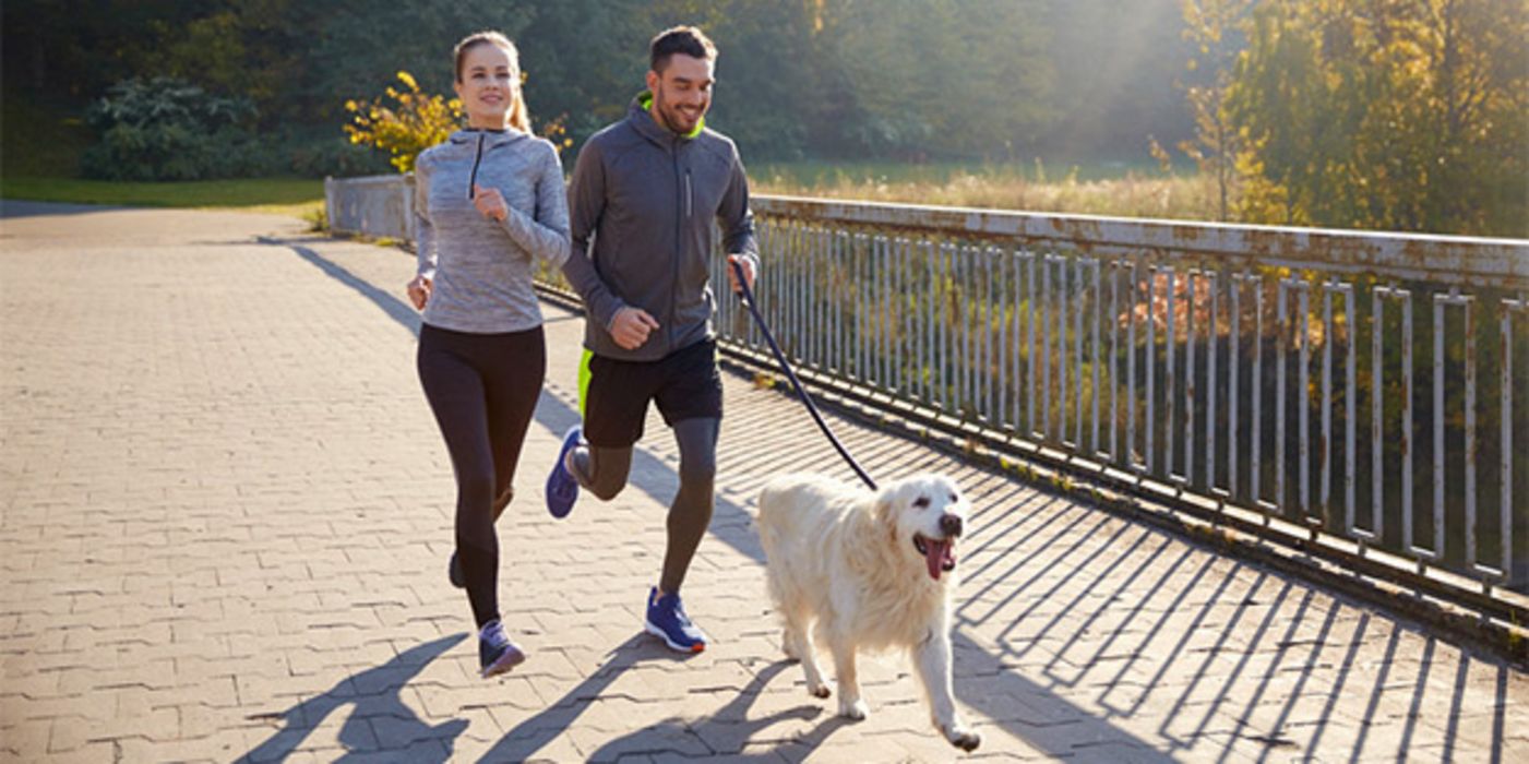 Mit diesen 12 Tipps können Hundebesitzer entspannt in die Laufsaison starten.