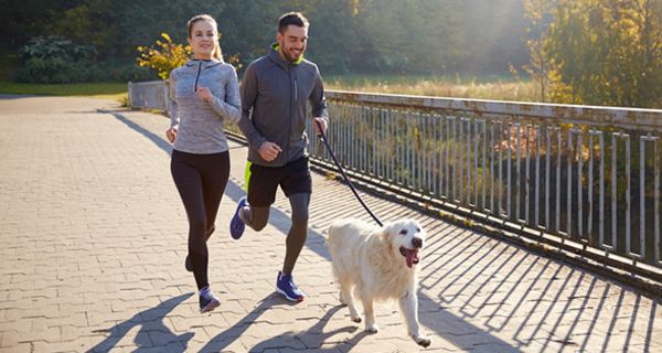 Mit diesen 12 Tipps können Hundebesitzer entspannt in die Laufsaison starten.