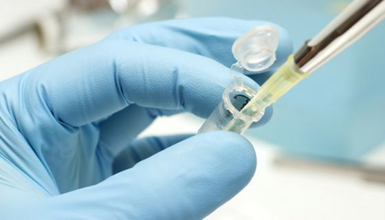 Ganz ohne Gentechnik konnten Forscher im Laborversuch Hautzellen in Herzzellen verwandeln.
