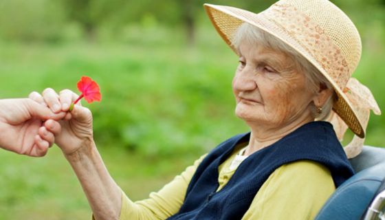 Portraitfoto: Alte Frau im Rollstuhl in der Natur, Strohhut, schaut abwesend, bekommt von einer Hand eine rote Blume gereicht