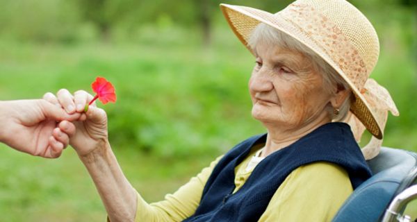 Portraitfoto: Alte Frau im Rollstuhl in der Natur, Strohhut, schaut abwesend, bekommt von einer Hand eine rote Blume gereicht
