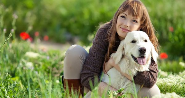 Diabetiker-Hunde können Unterzucker erschnüffeln.