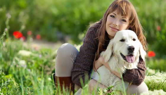 Diabetiker-Hunde können Unterzucker erschnüffeln.
