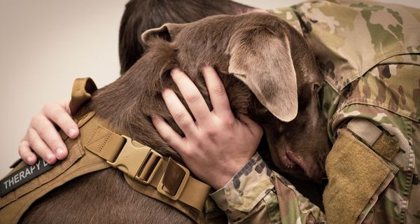 Soldat umarmt Hund