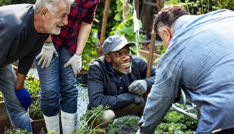 Gruppe von älteren Männern, machen zusammen Gartenarbeit. 
