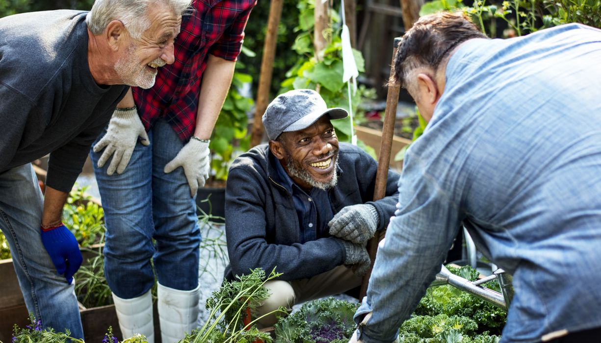 Gruppe von älteren Männern, machen zusammen Gartenarbeit. 
