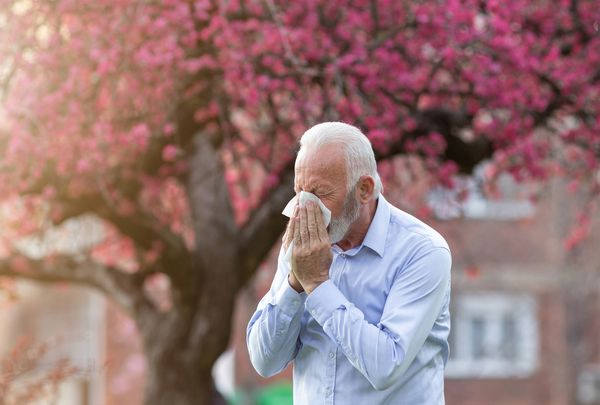 Pollenallergie und Herzprobleme – eine häufige Kombi