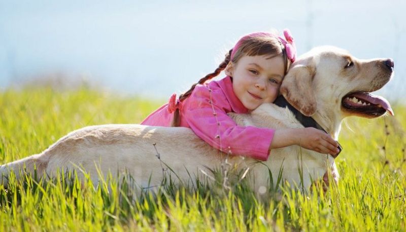 Kleines Mädchen umarmt großen Hund
