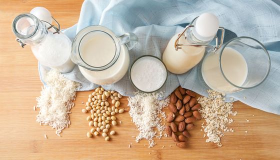 Eine Auswahl von pflanzlicher Milch nebeneinander.