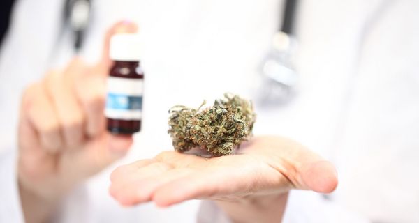 Arzt, hält medizinisches Cannabis in die Kamera.