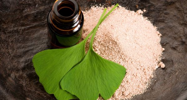 Ginkgo-Blätter neben einer offenen Extrakt-Flasche ohne Ettikett und auf einem Haufen feinen Pulvers.