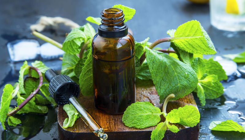 Fläschchen mit ätherischem Öl, umgeben von Pfefferminzblättern.