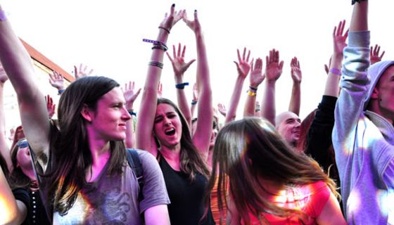 Stechmücken lassen sich offenbar durch elektronische Musik vertreiben.