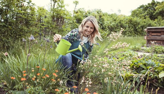 Frau, gießt Blumen in ihrem Garten.