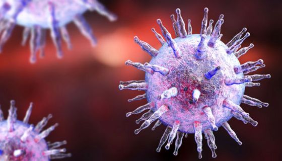 Epstein-Barr-Viren könnten an der Entstehung von Multipler Sklerose beteiligt sein.