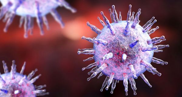 Epstein-Barr-Viren könnten an der Entstehung von Multipler Sklerose beteiligt sein.