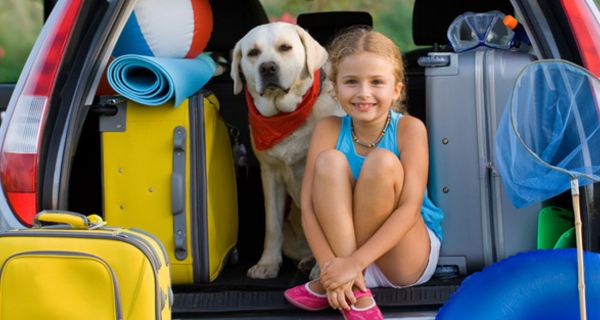 Mädchen und Hund sitzen in einem vollbepackten Autokofferraum