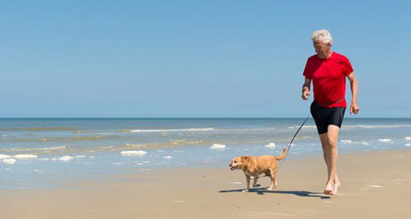 Senior, weißhaarig, schlank, rotes Shirt, schwarze Radlerhose mit Hund beim Strandlauf, blauer Himmel, blaues Meer