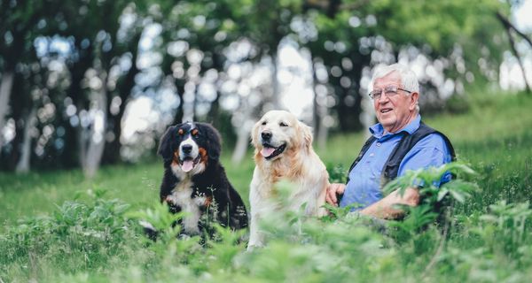 Älterer Herr sitzt mit seinen beiden Hunden in der natur