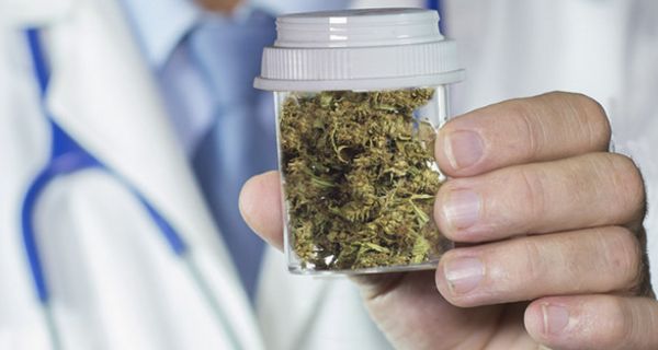 Medizinisches Cannabis wird seit 2017 immer häufiger abgegeben.