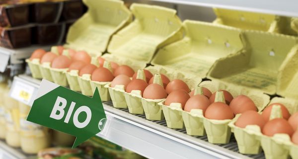 Bio-Eier im Supermarkt-Regal.