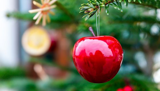 Apfel, hängt an einem Baum.