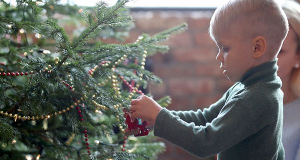 Mit diesen Tipps bleibt der Weihnachtsbaum lange frisch.