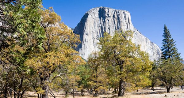 Landschaftsaufnahme mit El Capitan aus dem Yosemite-Nationalpark.