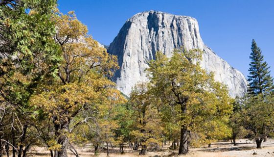 Landschaftsaufnahme mit El Capitan aus dem Yosemite-Nationalpark.
